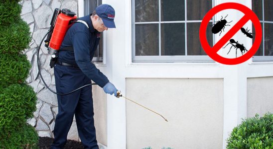 Mutki Kene İlaçlama böcek ilaçlama ve haşere kontrolü — ilaclama-tr.com